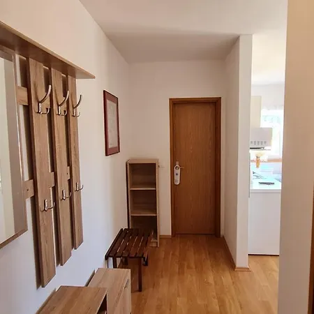 Apartments Zakarija Novalja Exterior photo